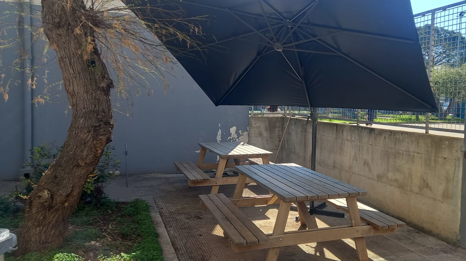 outdoor2